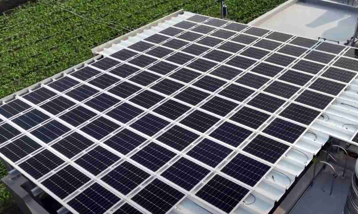 william威廉中文官网SunSteel光电浪板升级双玻结构，，，以提升机械负载强度及气候耐候度，，，，可广泛运用于多元场域